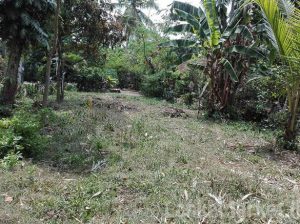 7.5 Perches Land In Yakkala Miriswatta For Sale