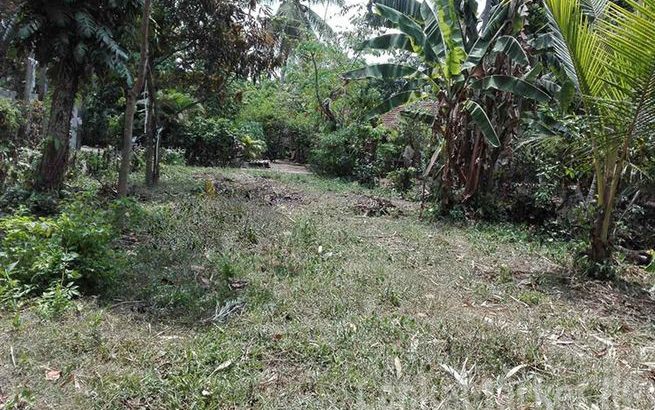 7.5 Perches Land In Yakkala Miriswatta For Sale
