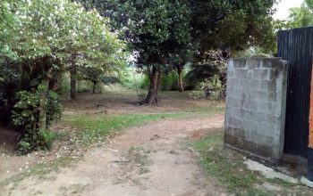 Land in Welisara Ragama for sale