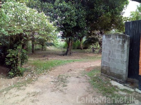 Land in Welisara Ragama for sale