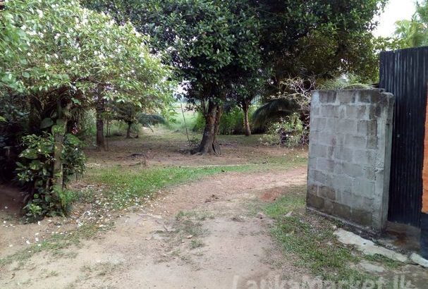Land in Welisara Ragama for sale