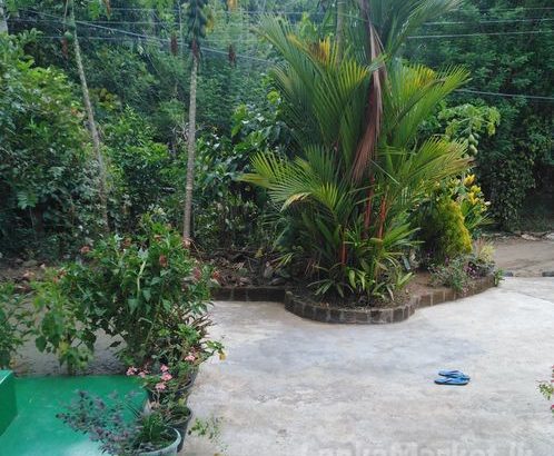 Land in kandy for sale