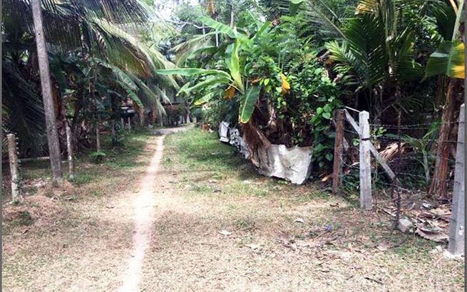 14.5 Perches Land in Yakkala For Sale