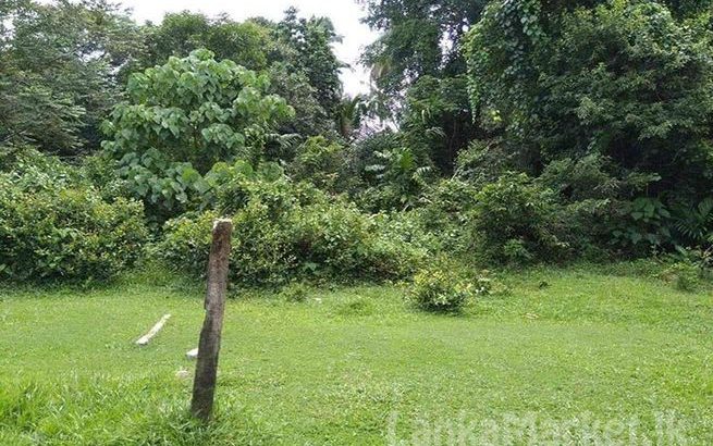 18 Perches Land in Kotugoda for sale