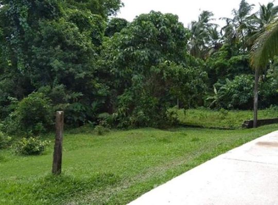 18 Perches Land in Kotugoda for sale