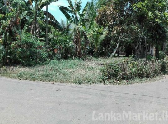 7.5 Perches Land In Yakkala Miriswatta For Sale