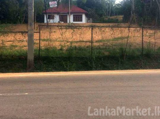 126 Perches Land in Matara