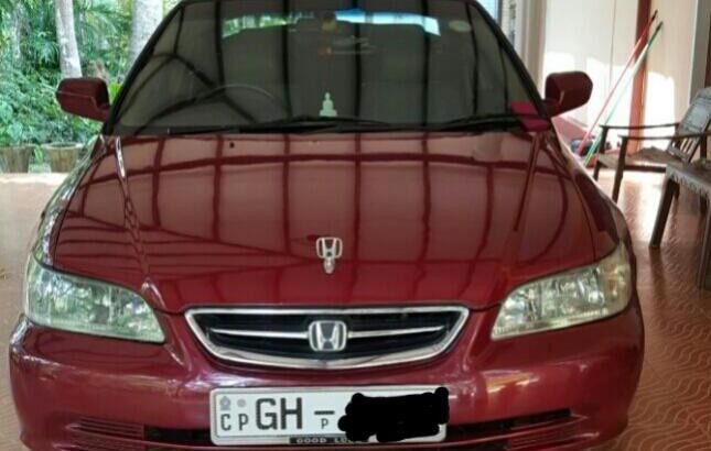 honda accord for sale