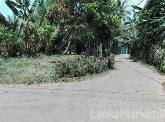 7.5 Perches Land In Yakkala Miriswatta For Sale