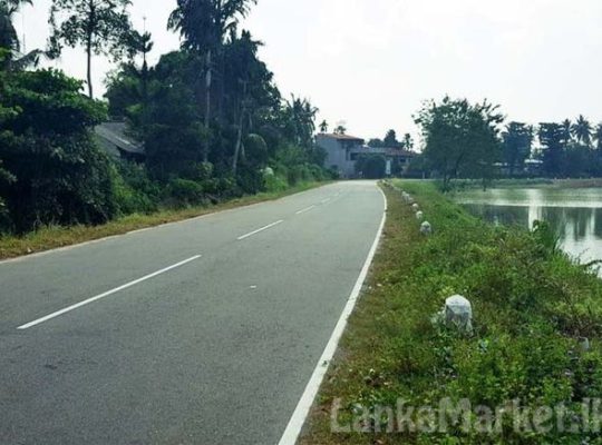 Bare Land for Sale at Thalawathugoda.