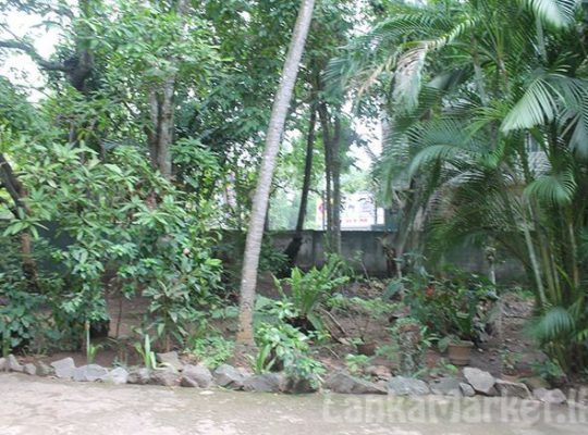 Bungalow Type House available Lease in Kadawatha