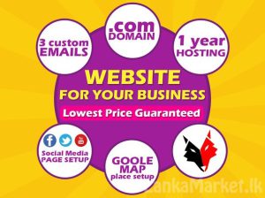 Professional Website for your Business