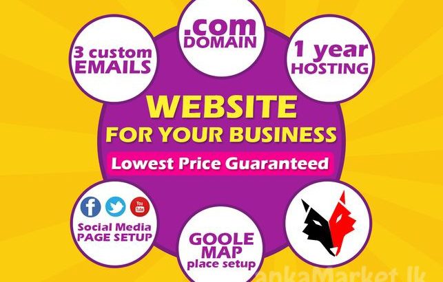 Professional Website for your Business