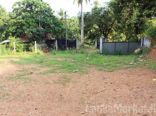 Good Residential Land for Sale