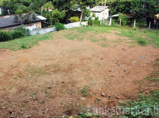 Good Residential Land for Sale