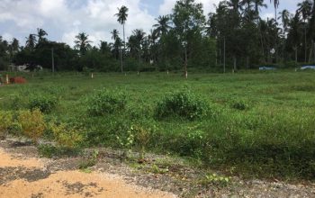 Land in negombo for sale