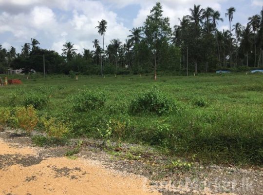 Land in negombo for sale