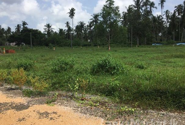 Land in negombo for sale