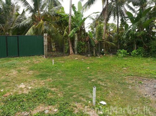Valuable Land Block for Sale