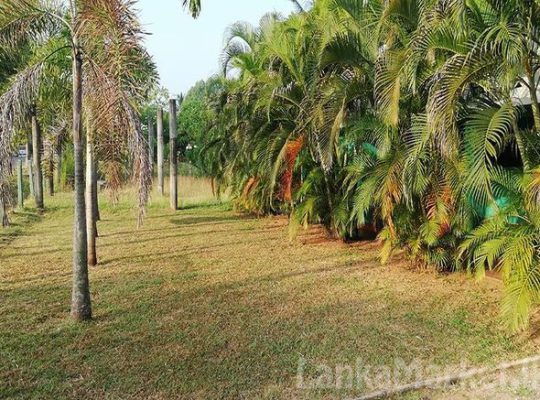 82 Perches Land with House for Sale