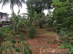 38.3 Perches Land for sale in Kadawatha