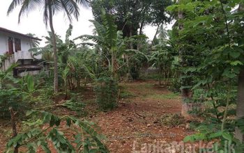 38.3 Perches Land for sale in Kadawatha