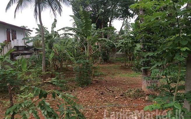 38.3 Perches Land for sale in Kadawatha