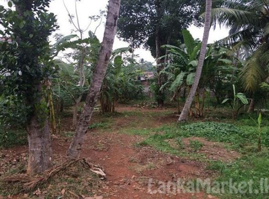 38.3 Perches Land for sale in Kadawatha