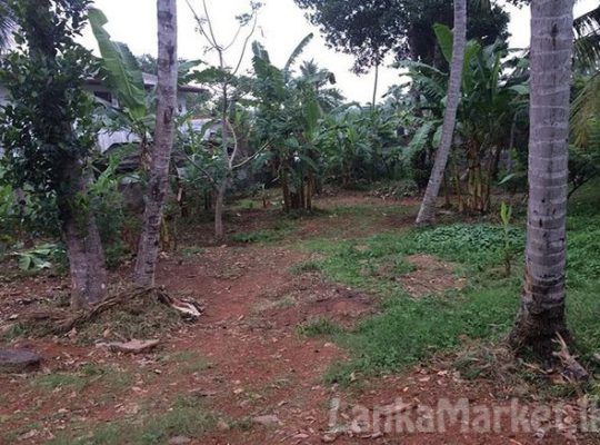 38.3 Perches Land for sale in Kadawatha