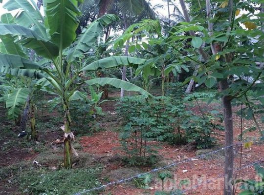 38.3 Perches Land for sale in Kadawatha