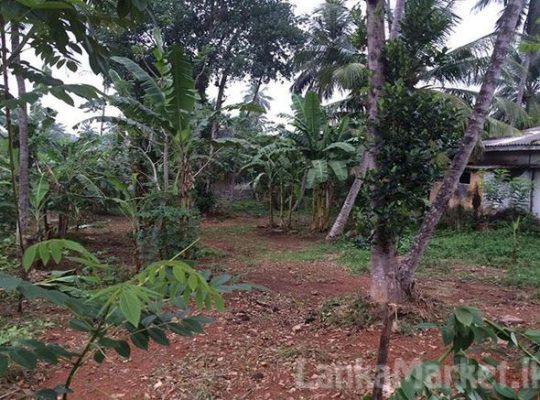 38.3 Perches Land for sale in Kadawatha