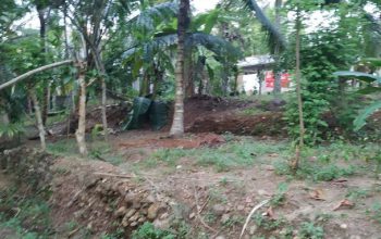 Land in Horana for sale