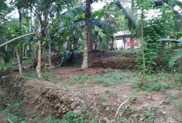Land in Horana for sale