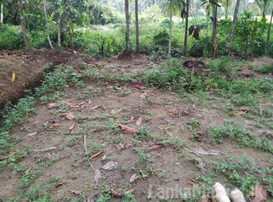 Land in Horana for sale