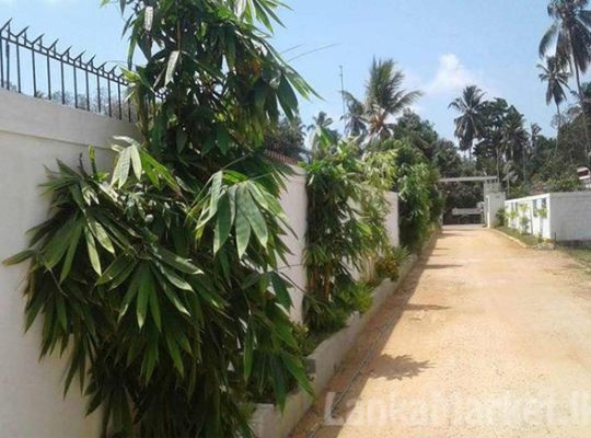 Negombo Luxury Brand New Housing Project For Sale