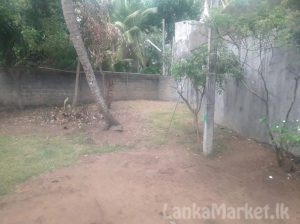 31 PERCHES LAND WITH HOUSE FOR SALE