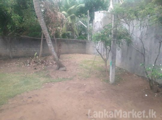 31 PERCHES LAND WITH HOUSE FOR SALE