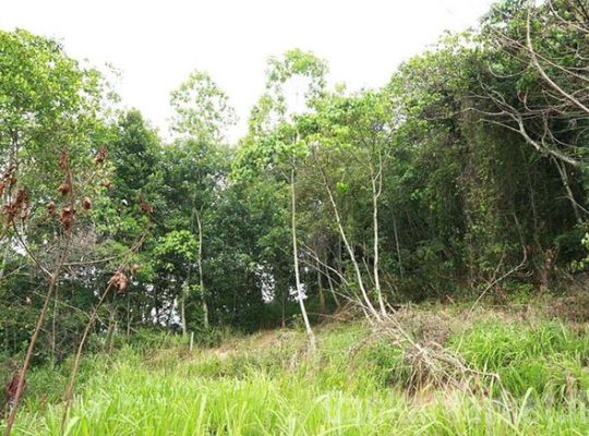 Valuable 46 Perches Land for Sale