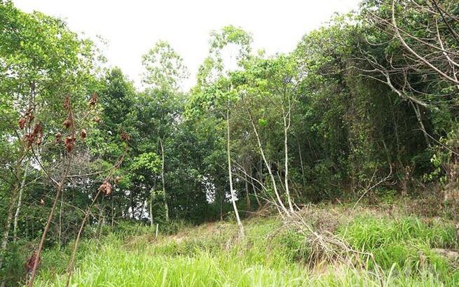 Valuable 46 Perches Land for Sale