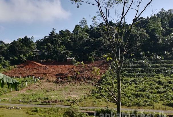 HORANA….. Usaviya Road.. URBAN FOREST