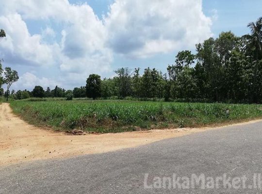 244 Perches Commercial Land for sale