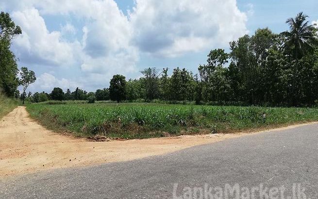 244 Perches Commercial Land for sale