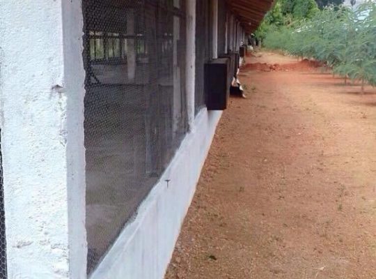 Layers farm for sale in Dambulla