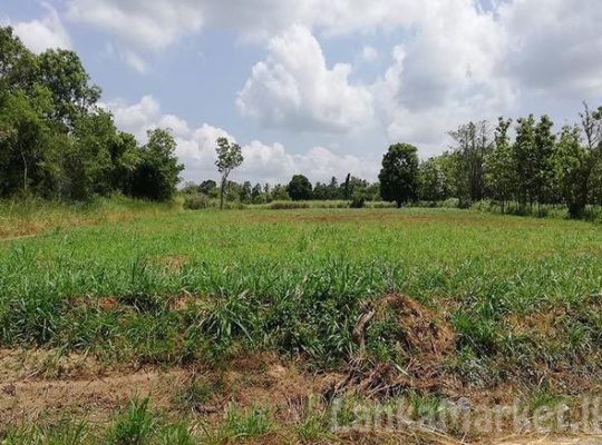 Commercial Land for sale