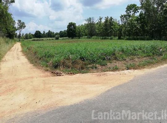 Commercial Land for sale