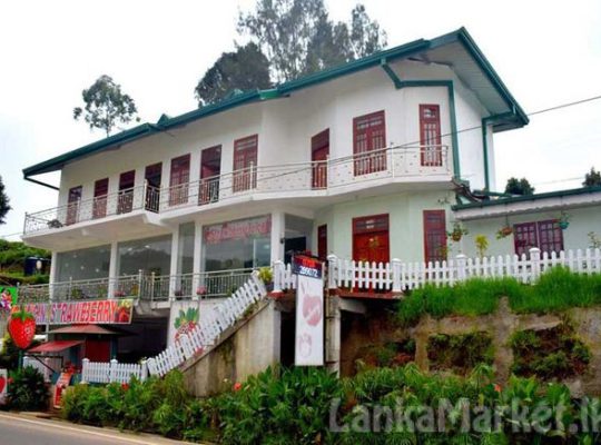 Commercial Property in Seetha Eliya, Nuwara Eliya for sale
