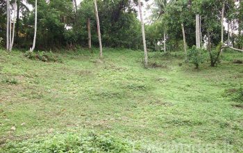 100 Perches Land for Sale