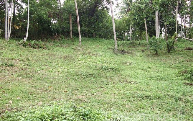 100 Perches Land for Sale