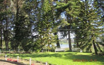 Nuwara Eliya Land & Bungalow for Sale