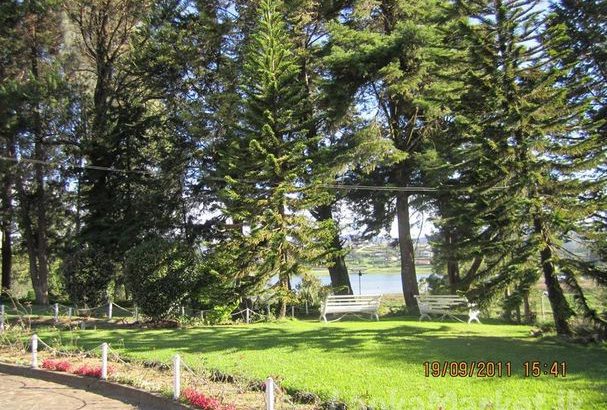 Nuwara Eliya Land & Bungalow for Sale